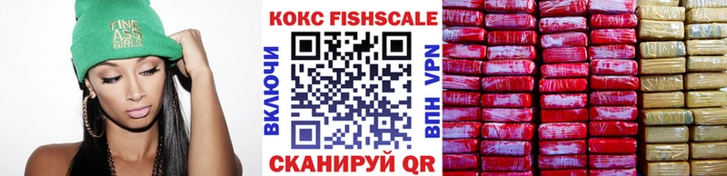 цены   Губкинский  COCAIN Fish Scale 