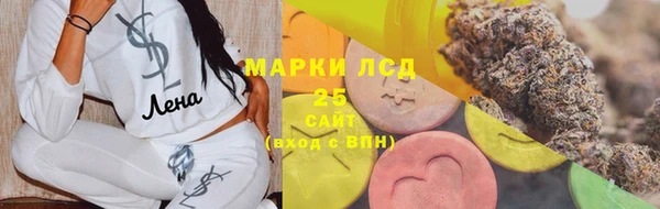 прущие грибы Белокуриха