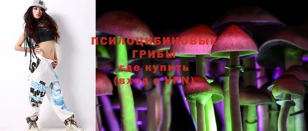 дживик Беломорск
