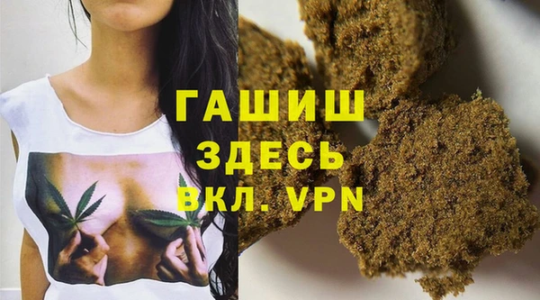 прущие грибы Белокуриха