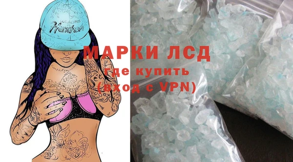 прущие грибы Белокуриха