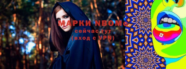 прущие грибы Белокуриха