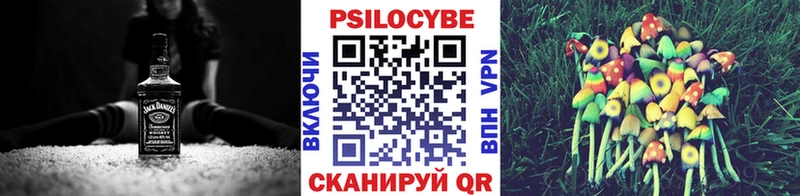 Галлюциногенные грибы MAGIC MUSHROOMS  цены наркотик  Губкинский 